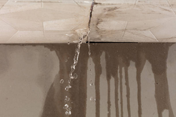 Professional Flood Damage Cleanup technician working in Walnut Grove, MS